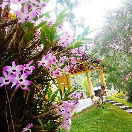 Casa Com Flores Pedra Azul  Extérieur photo