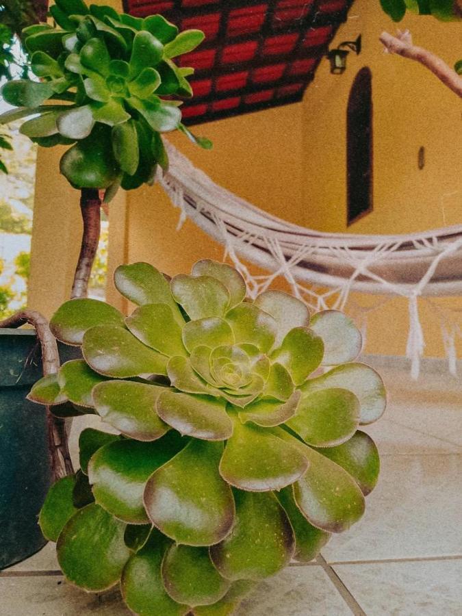 Casa Com Flores Pedra Azul  Extérieur photo
